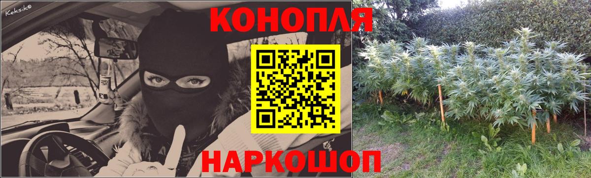 Бошки Шишки марихуана Десногорск